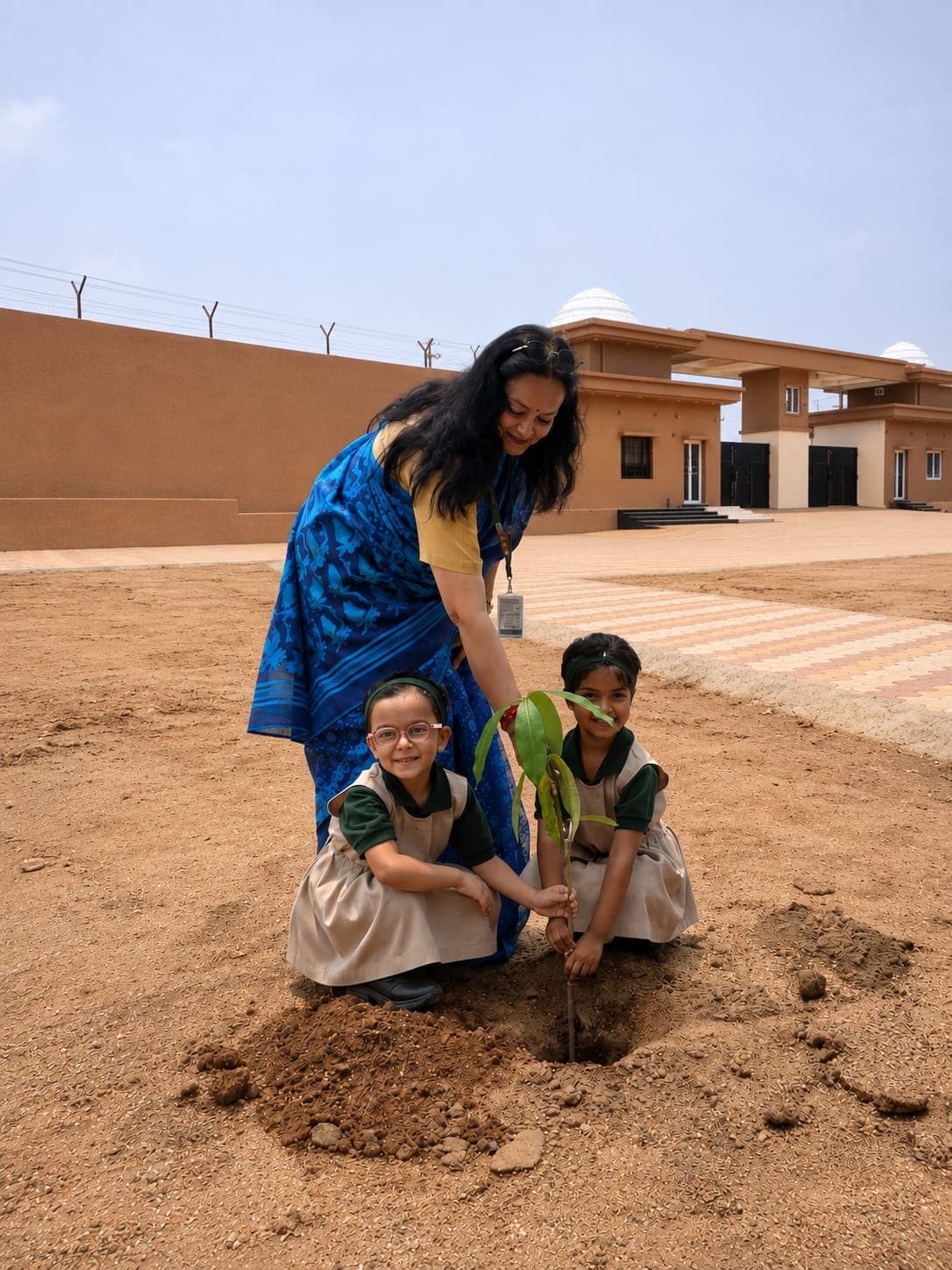 Tree Plantation