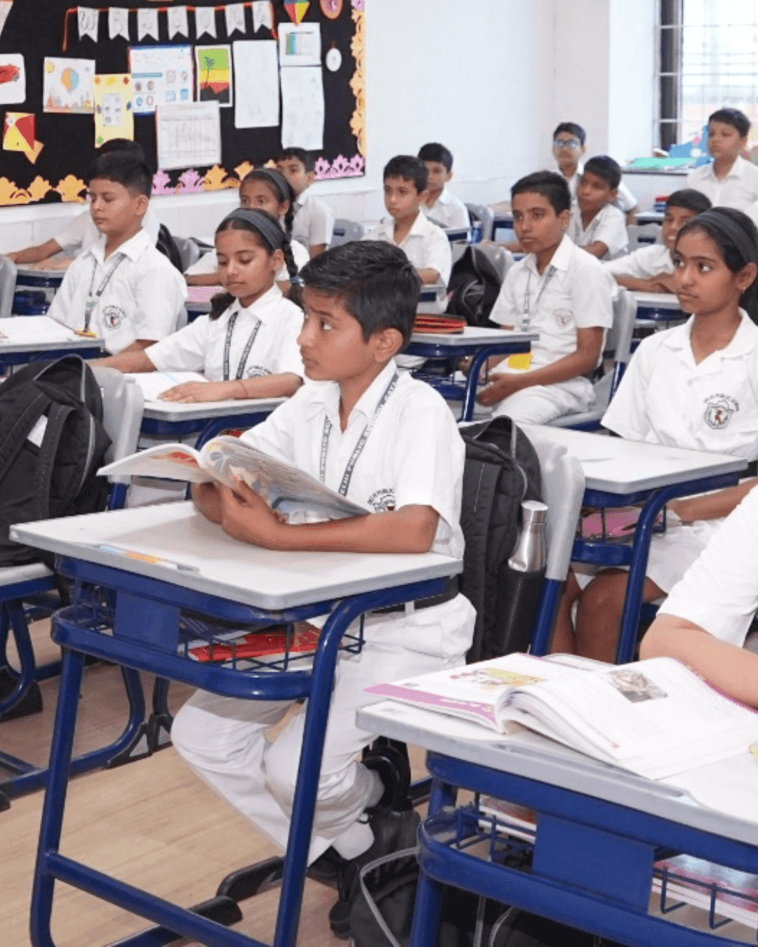 Curriculum