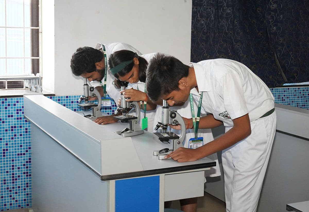 Where Curiosity Inspires Discovery