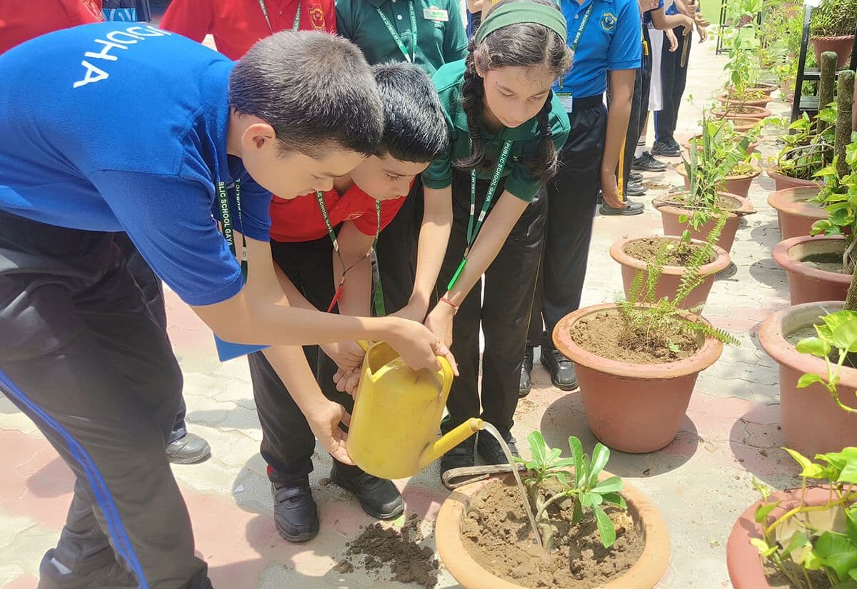 Field Trips & Educational Tours